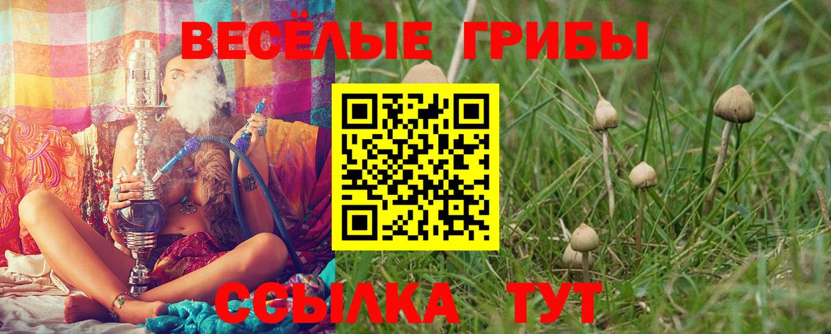 Галлюциногенные грибы GOLDEN TEACHER Новокузнецк