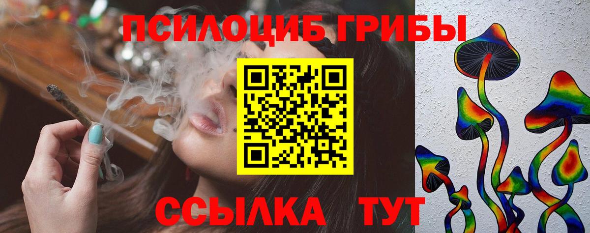 Новокузнецк  Галлюциногенные грибы ЛСД  Вход с VPN 